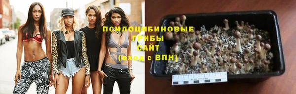 PSILOCYBIN Бугульма