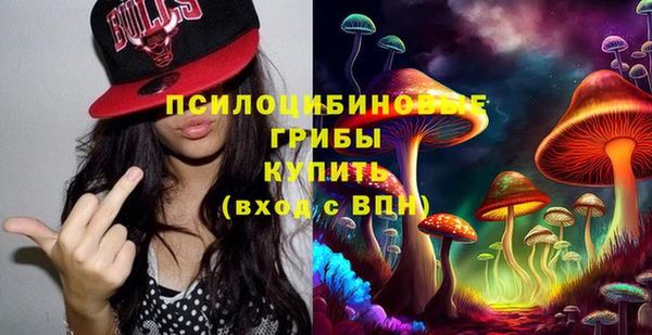 не бодяженный Бородино