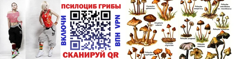 цена наркотик  Бузулук  Псилоцибиновые грибы GOLDEN TEACHER 