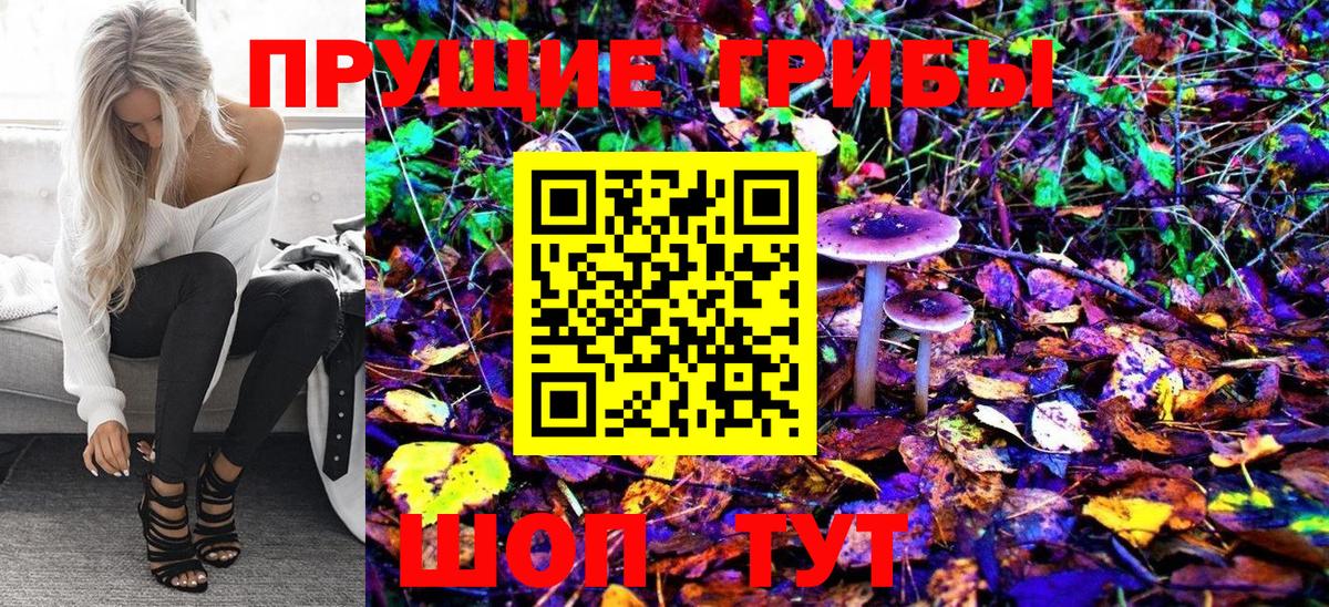 Псилоцибиновые грибы Cubensis Бузулук